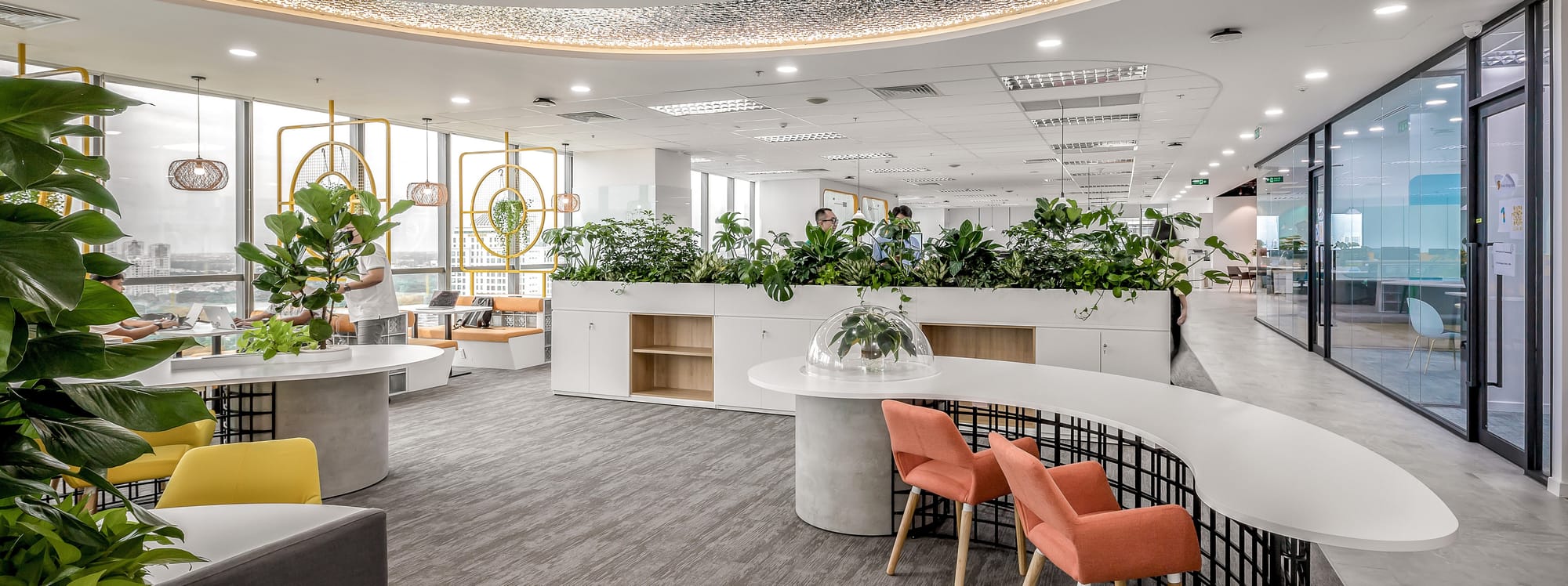 Senior Growth Specialist