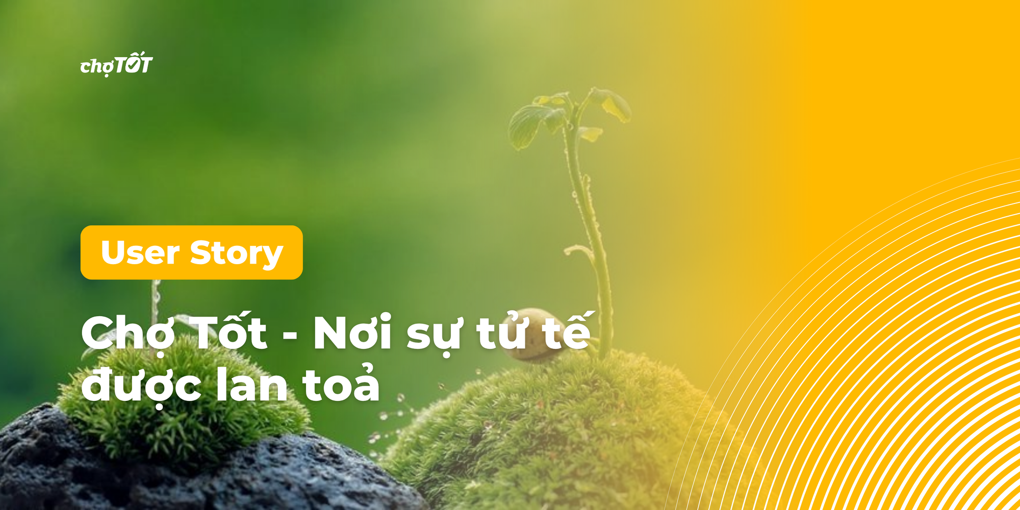 User Story #16: Chợ – Nơi sự tử tế được lan tỏa