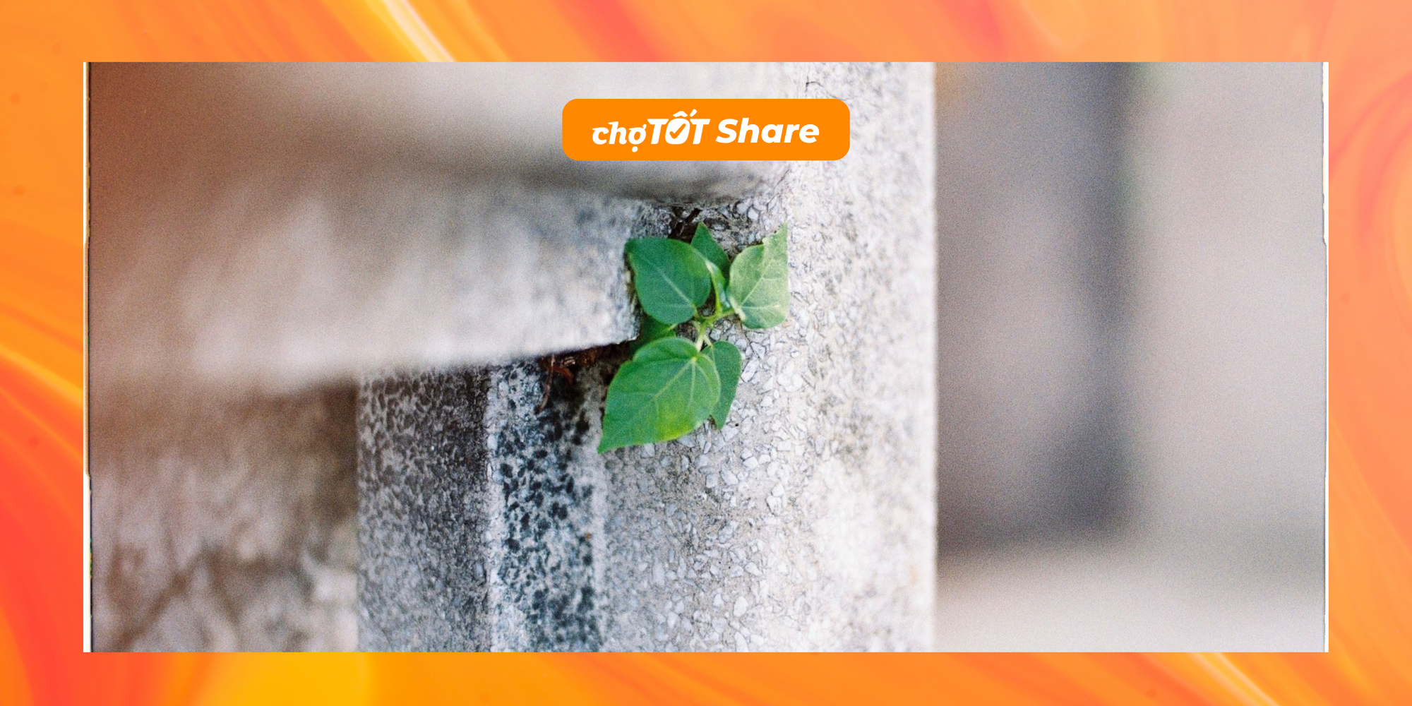 Nói về nghề Product, ít muối nhưng mặn nhiều