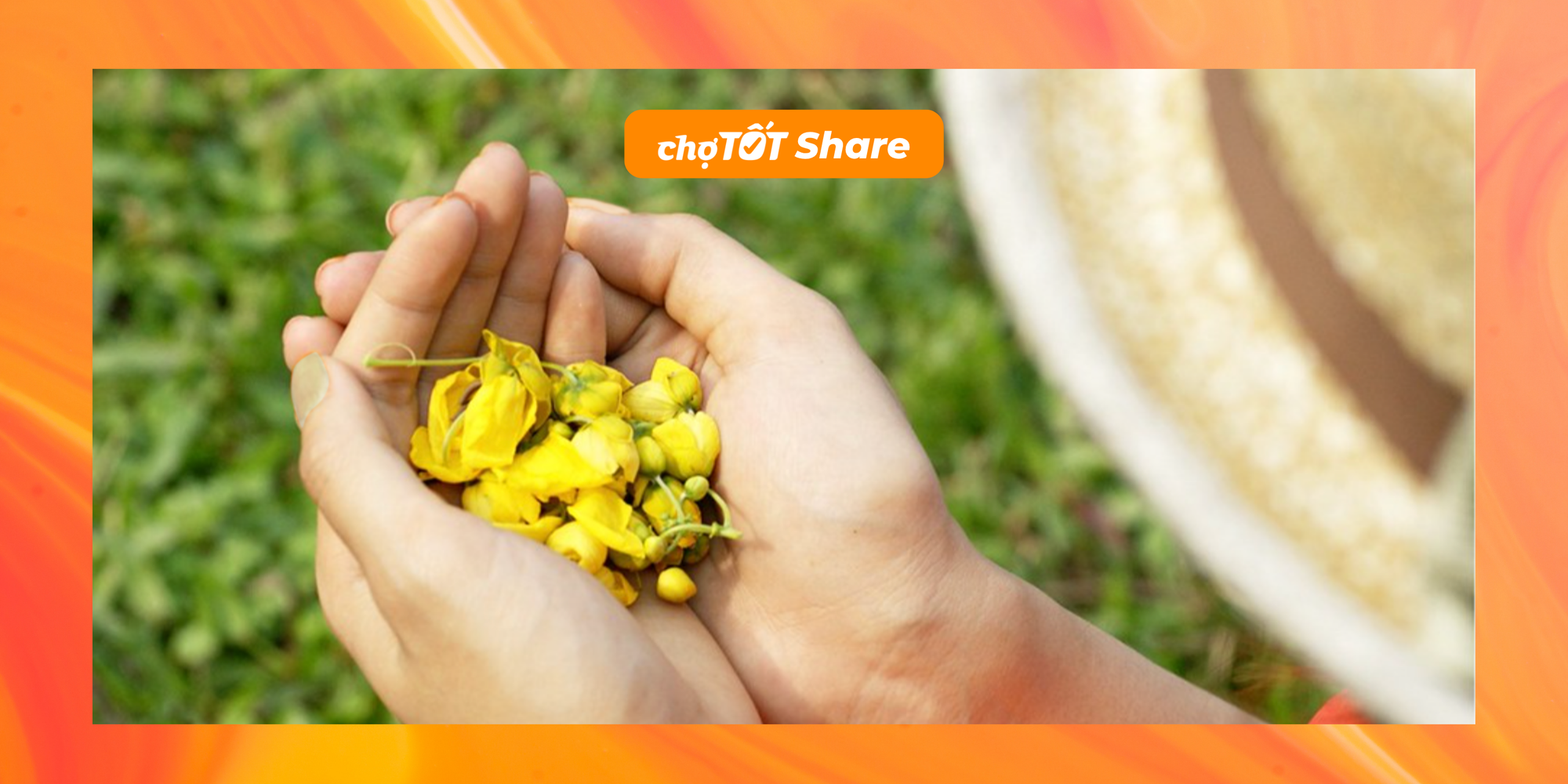 Chợ Tốt và Góc Nhìn Nhân Văn