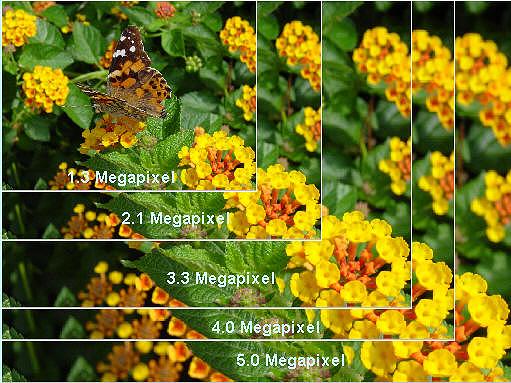 So sánh số megapixel trong cùng một bức ảnh.  (Nguồn :vidlight.com)