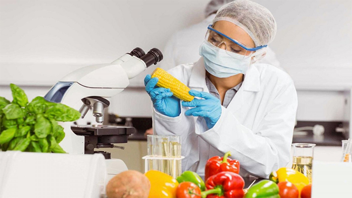 Ngành công nghệ thực phẩm có nhiều tiềm năng phát triển trong tương lai