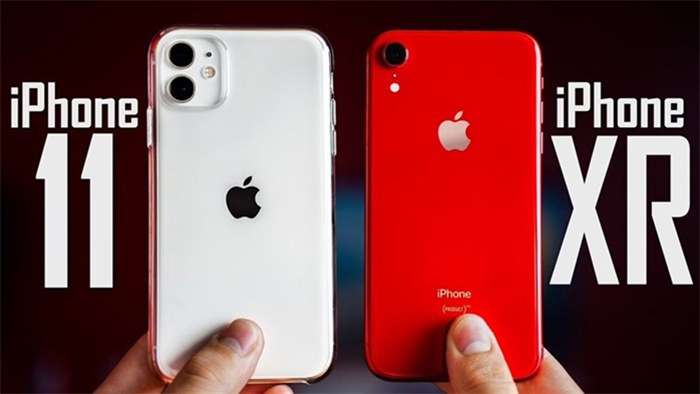 iPhone XR và 11 có chung kích thước màn hình là 6.1 inch