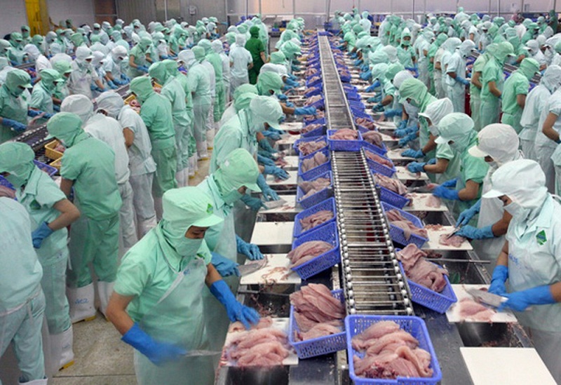 công nhân chế biến thực phẩm