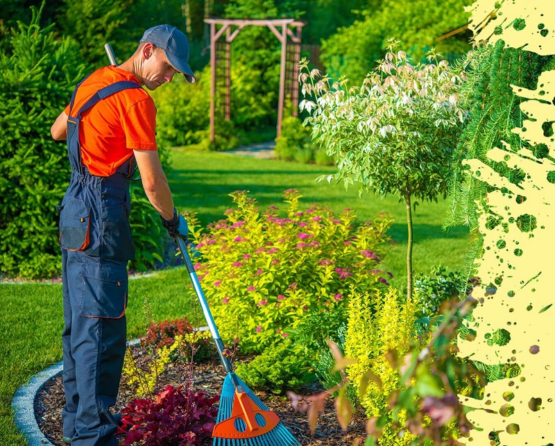 Nhân viên chăm sóc cây cảnh tại gia đình TPHCM