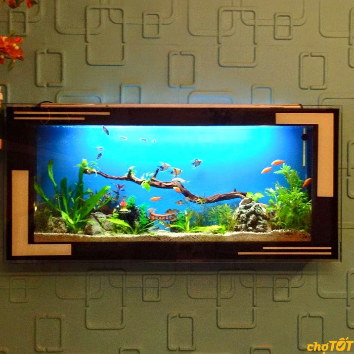 Bể cá cảnh treo tường