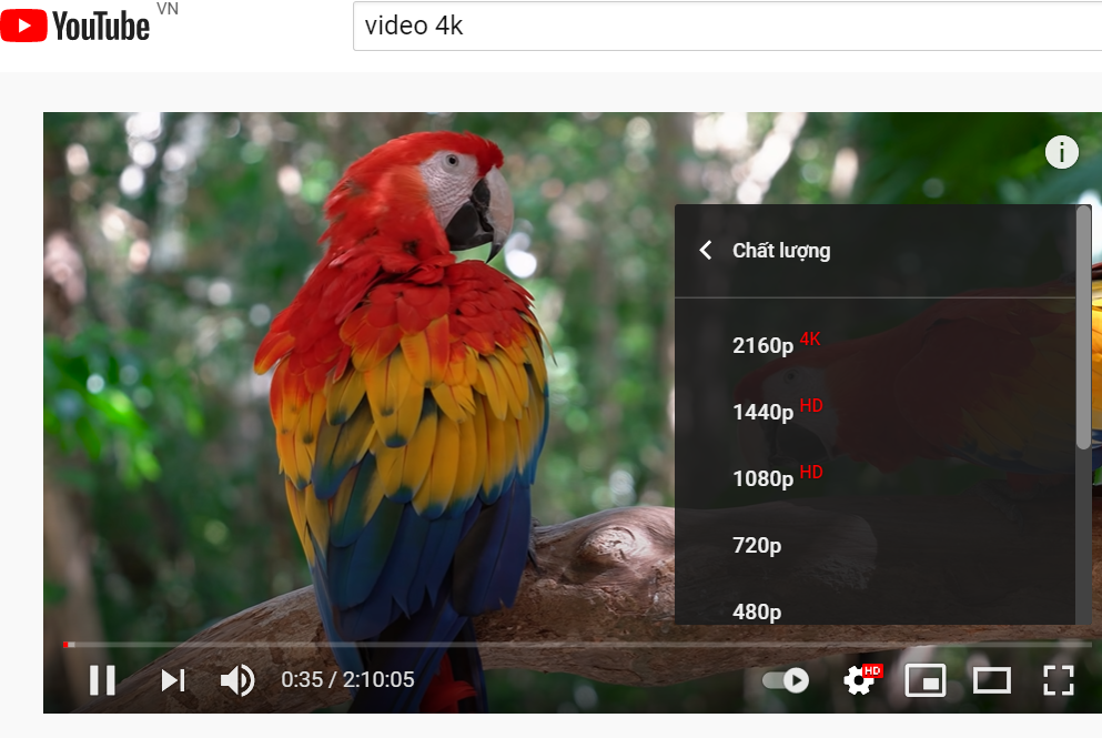 Bạn có thể kiểm tra khả năng hiển thị độ phân giải cao của laptop bằng các video 4k trên Youtube