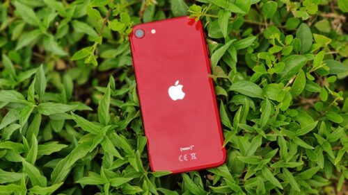 iPhone SE 3 sẽ mang tới những gì? Rò rỉ giá bán dự kiến