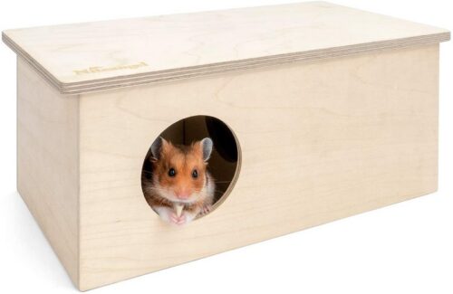 Hướng dẫn cách làm chuồng cho chuột hamster đơn giản, nhanh chóng
