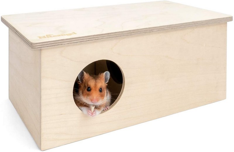 cách làm nhà cho chuột hamster bằng giấy