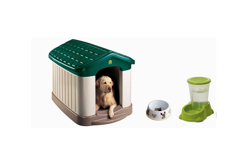 nuôi chó cần những gì