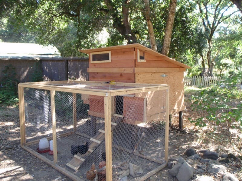 cách làm chuồng gà đơn giản tại nhà