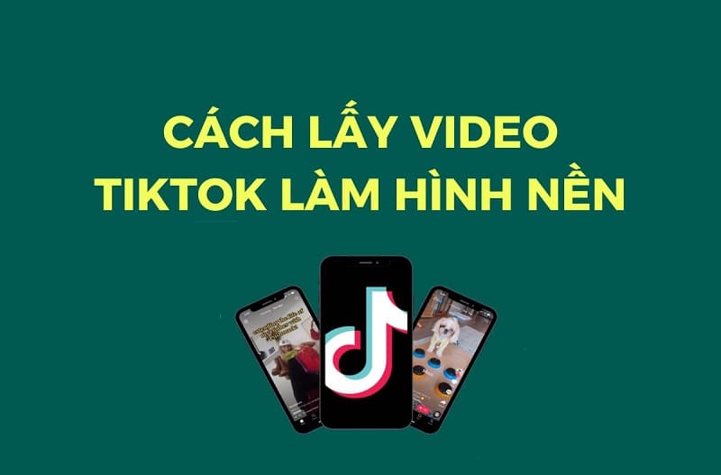 cach-lay-video-tiktok-lam-hinh-nen-cho-android-dai-dien -