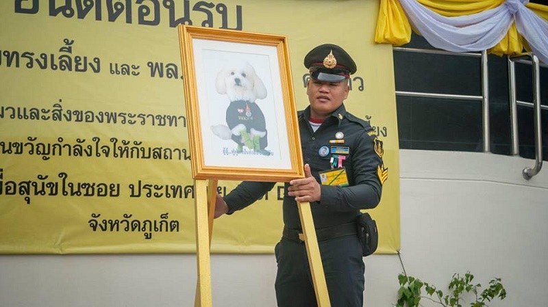 Đại tướng chó Thái Lan