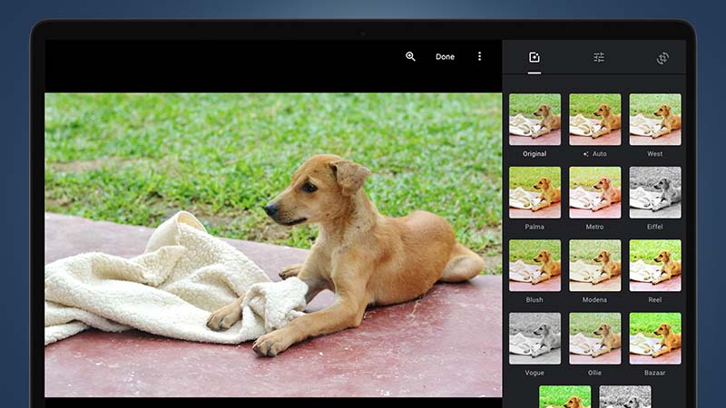cách sử dụng Google Photo