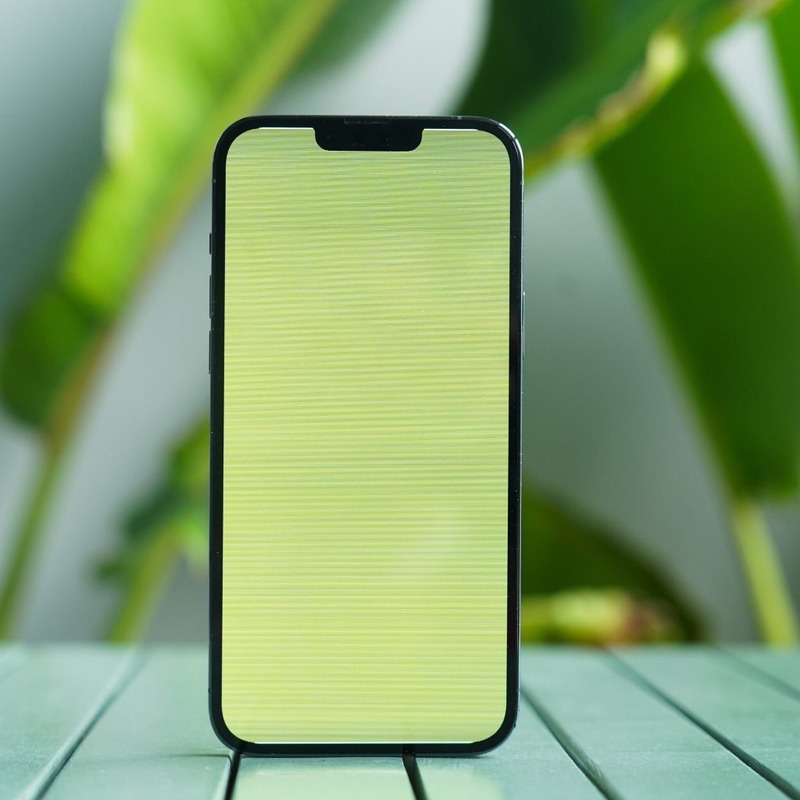 iPhone 13 Pro Max bị xanh màn hình