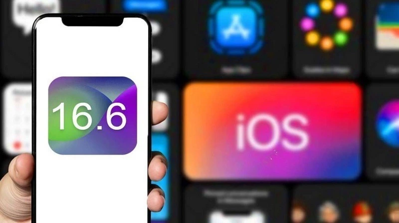 Cả hai thiết bị này đều nhận được cam kết hỗ trợ cập nhật hệ điều hành iOS cao hơn
