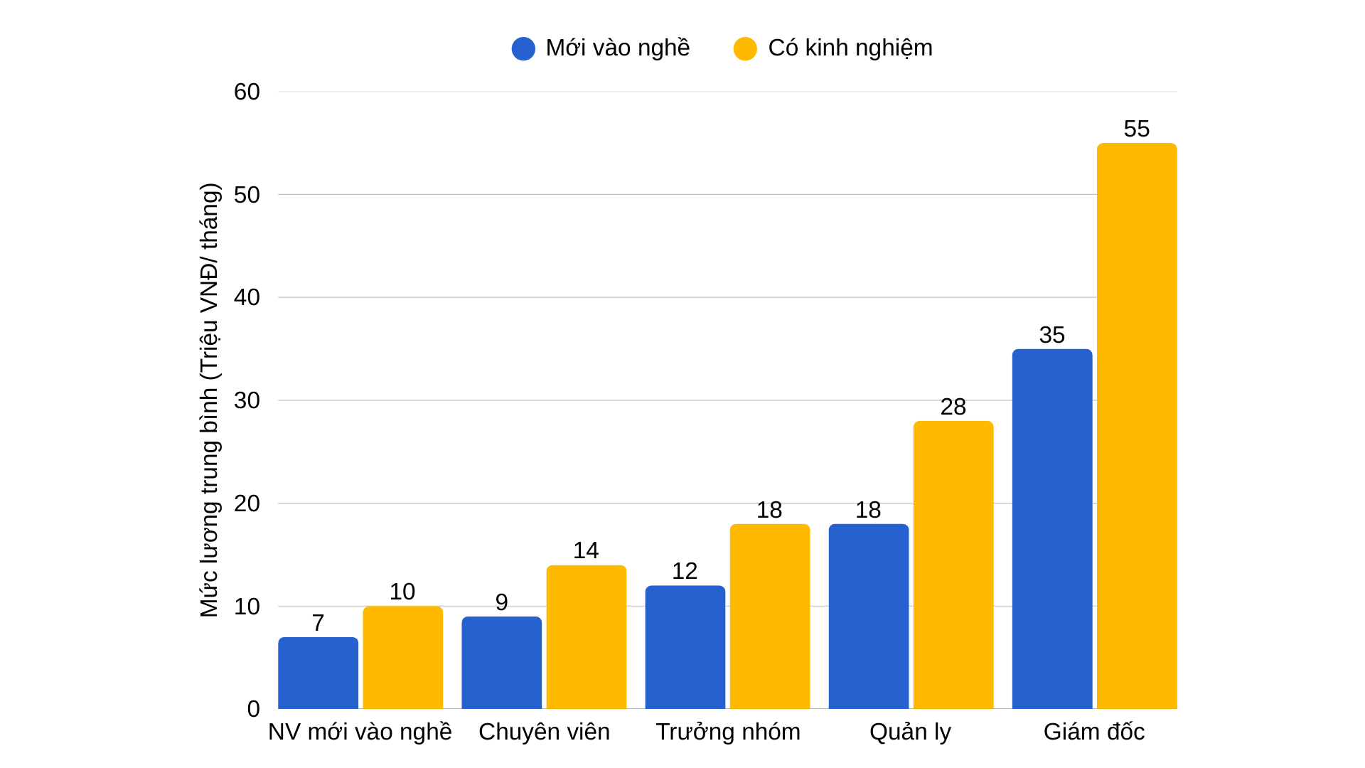 Mức lương ngành Kế toán theo cấp bậc
