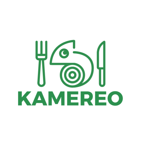 Logo CÔNG TY TNHH KAMEREO