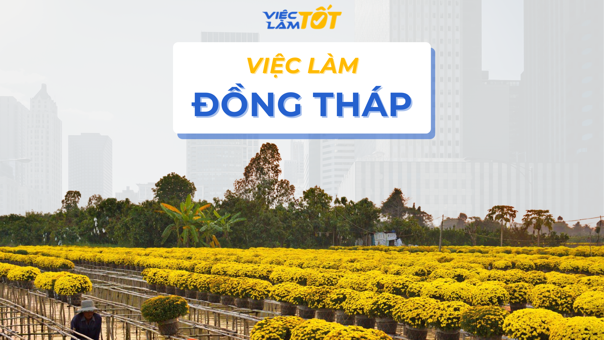Việc làm Đồng Tháp