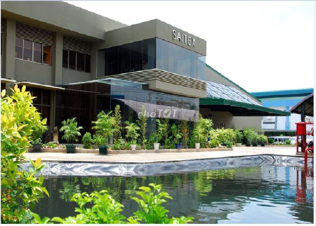 Saitex Image 4