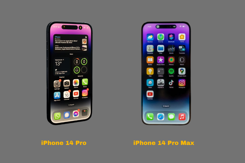 So sánh kích thước màn hình và trải nghiệm hiển thị giữa bản Pro và Pro Max