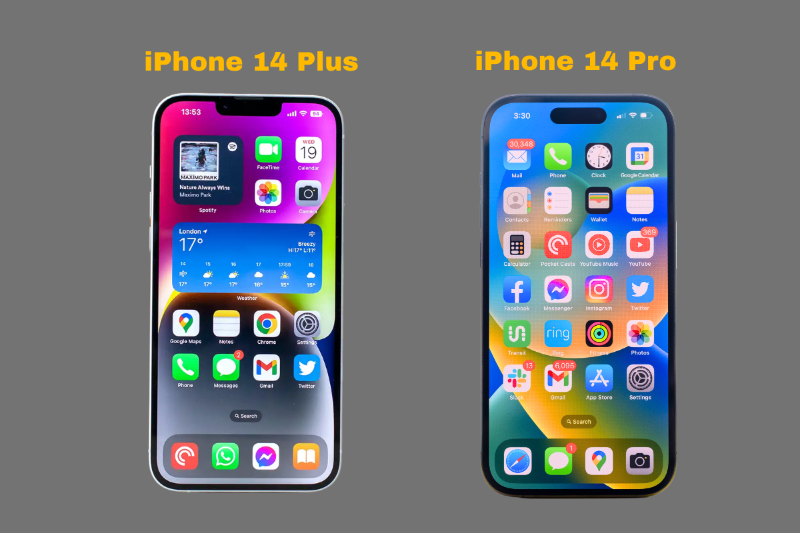 So sánh màn hình iPhone 14 Plus và iPhone 14 Pro