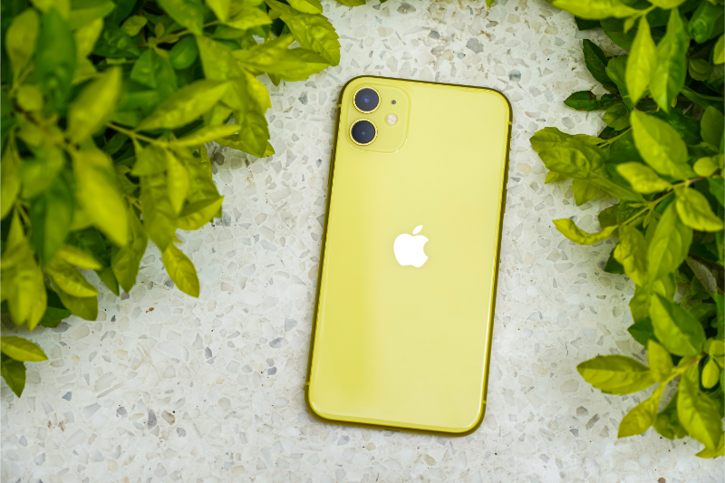 Camera iPhone 11