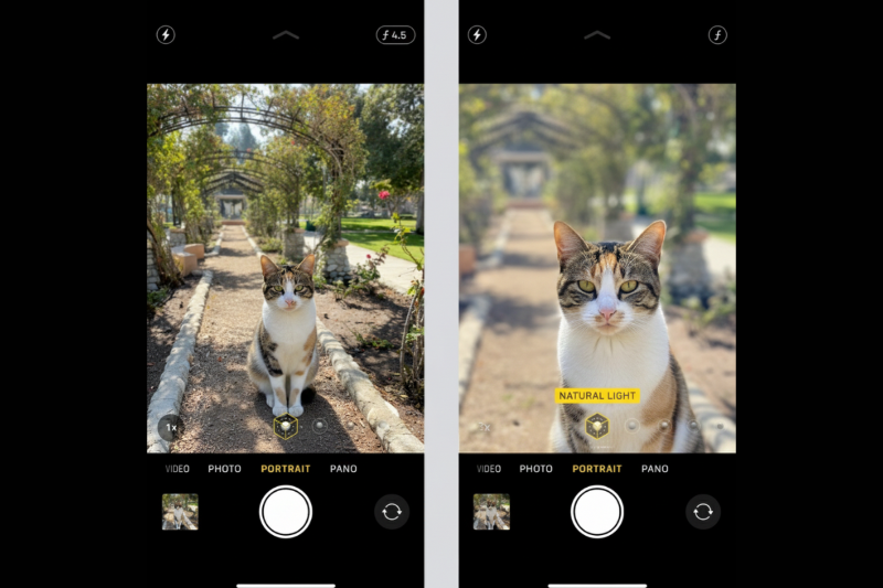 Ảnh chân dung xóa phông với hiệu ứng bokeh mịn và tách nền tự nhiên