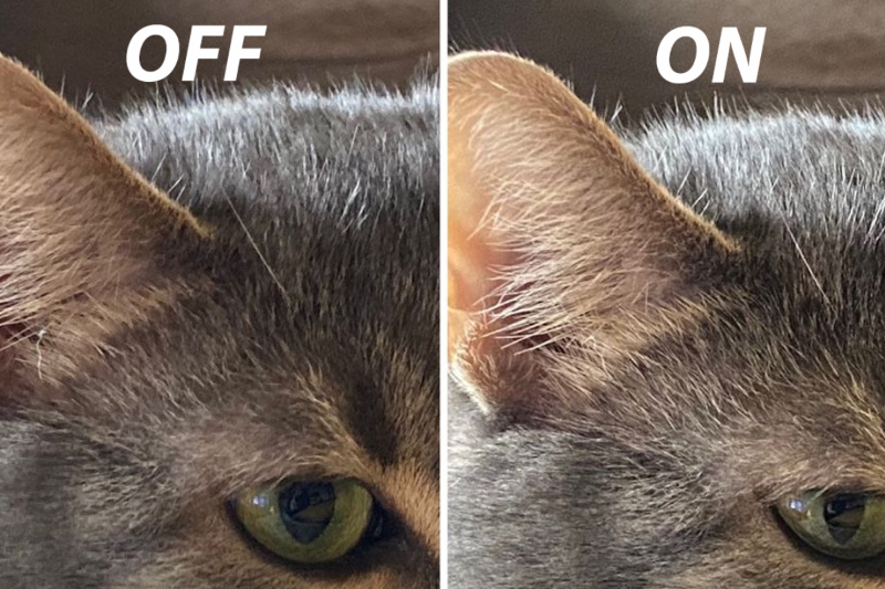 Công nghệ Deep Fusion xử lý ảnh AI trên iPhone với độ chi tiết cao