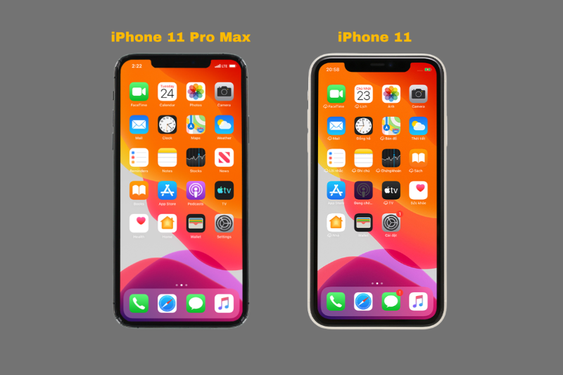 Màn hình LCD iPhone 11 so với OLED Super Retina XDR trên iPhone 11 Pro Max