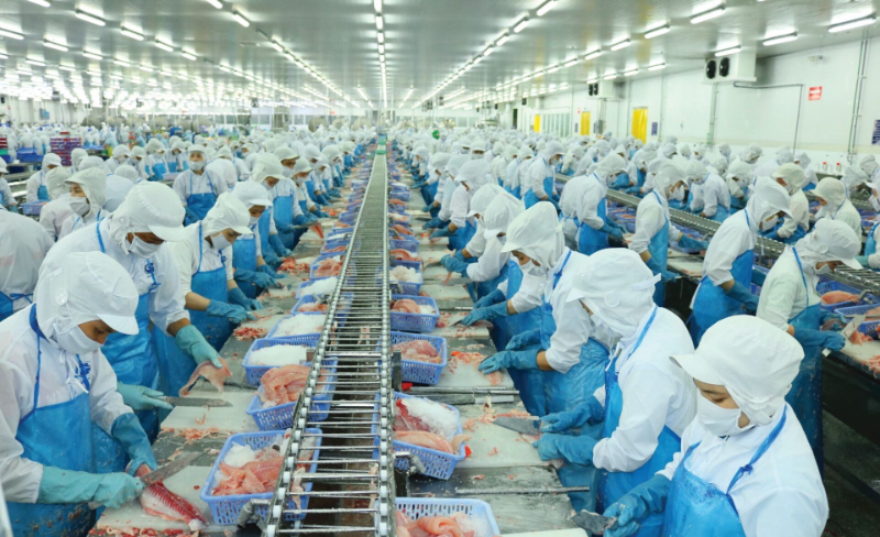môi trường làm việc ngành công nghệ thực phẩm thực tế