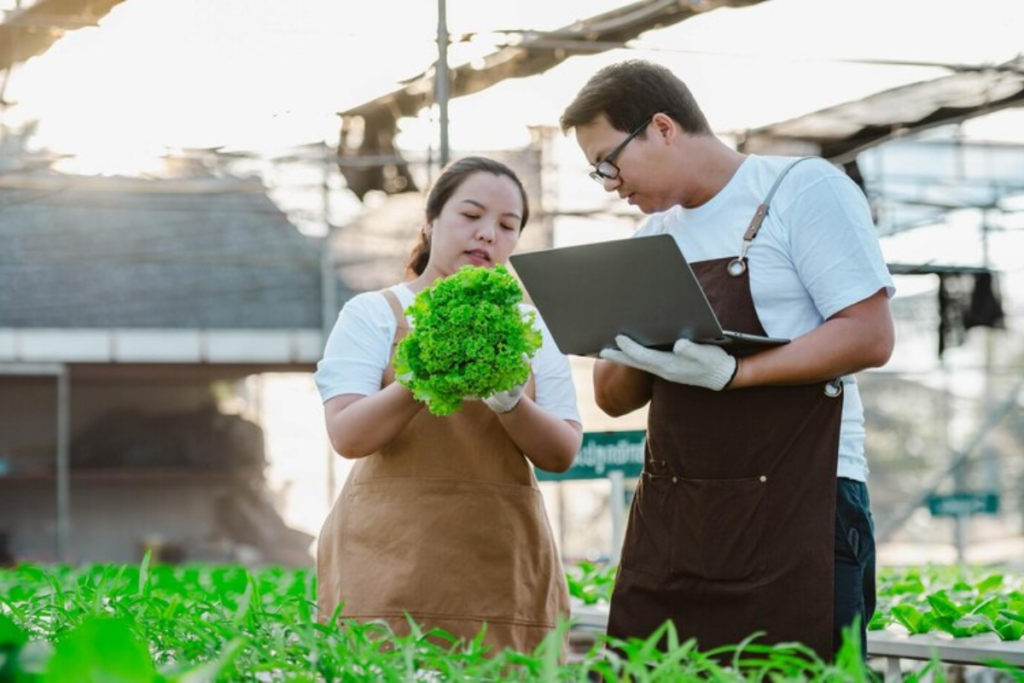 Thu nhập nghề kinh doanh thực phẩm