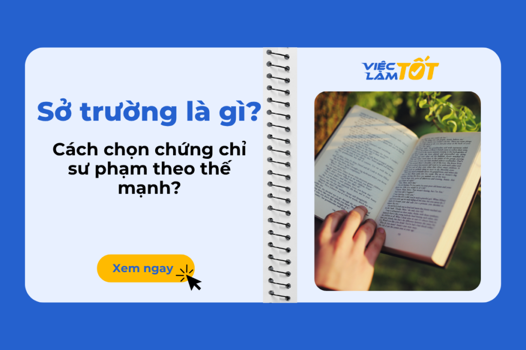 Sở trường là gì và làm thế nào để xác định điểm mạnh của bản thân? Sở trường là gì và làm thế nào để xác định điểm mạnh của bản thân?