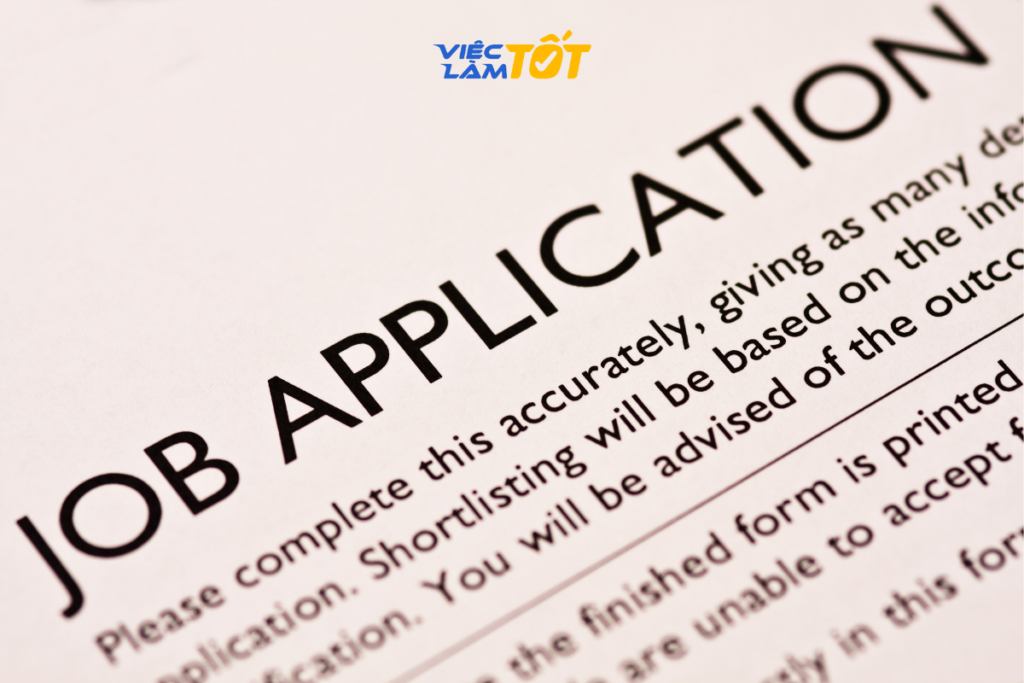 Mẫu CV đẹp hồ sơ xin việc