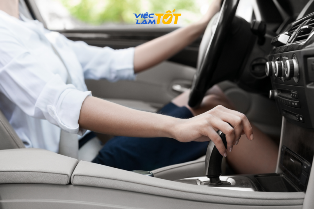 hồ sơ xin việc lái xe bằng lái