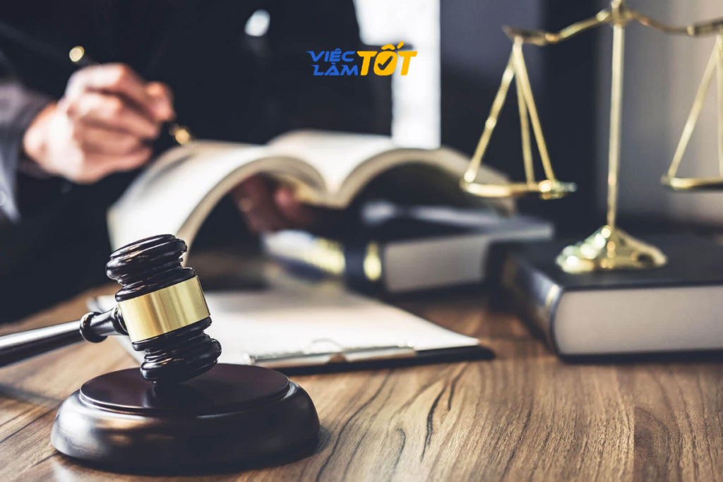 Tư vấn hướng nghiệp ngành Luật kinh tế