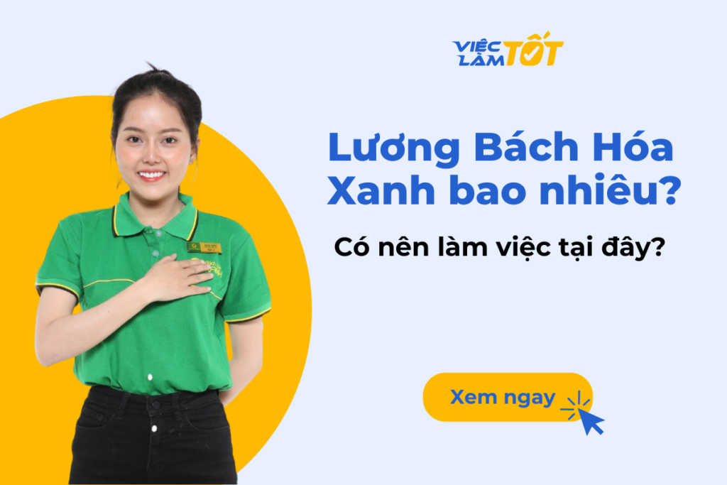 Lương Bách Hóa Xanh bao nhiêu? Có nên làm việc tại đây? Lương Bách Hóa Xanh và môi trường làm việc