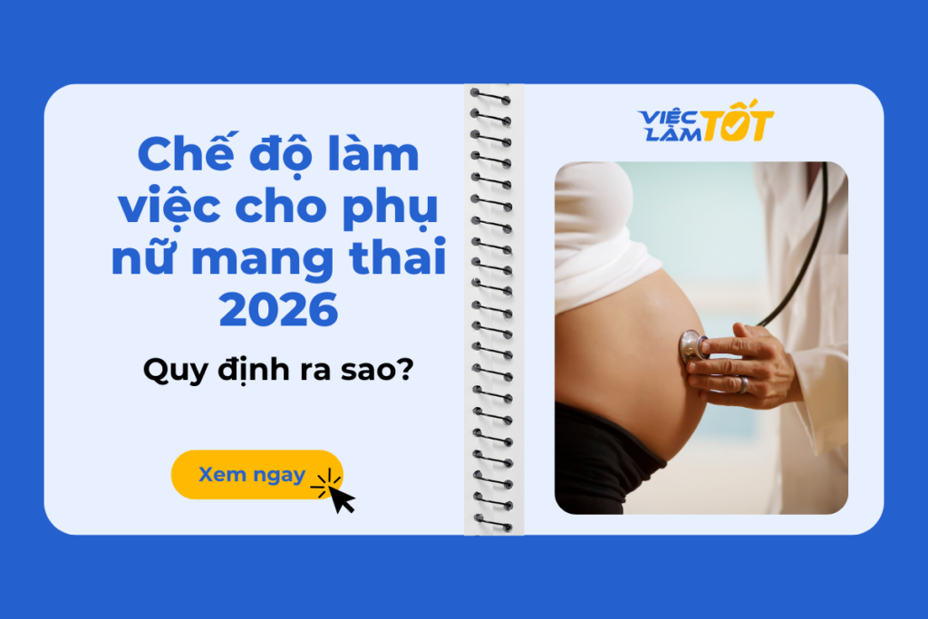 Chế độ làm việc cho phụ nữ mang thai 2026 quy định ra sao? Chế độ làm việc cho phụ nữ mang thai 2026 quy định ra sao?