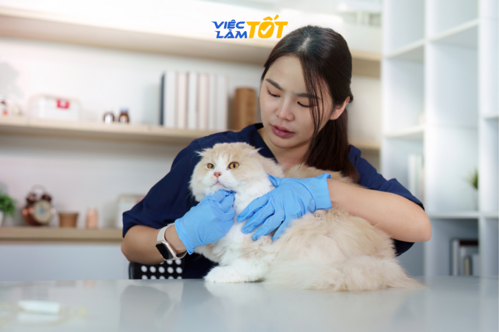 Nhân viên đeo khẩu trang khi sấy lông chó