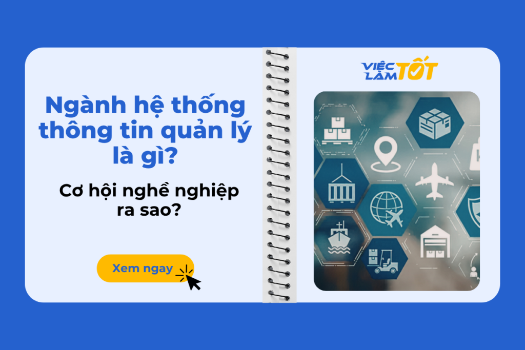 Ngành hệ thống thông tin quản lý là gì? Cơ hội nghề nghiệp ra sao? Thumbnail về triển vọng nghề nghiệp MIS
