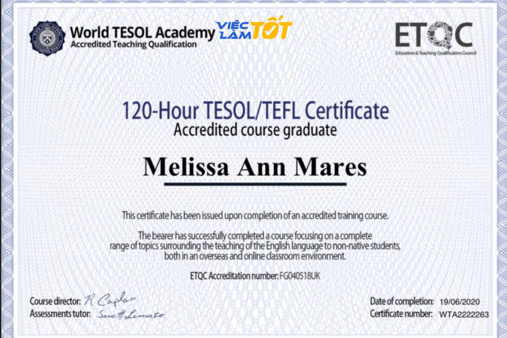 Học viên tham gia khóa học Tesol trực tuyến