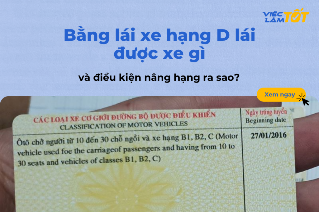 Hình ảnh bằng lái xe hạng d hợp lệ được cấp bởi cơ quan chức năng