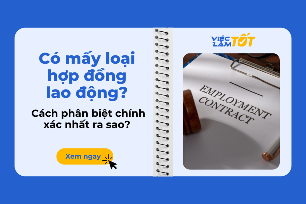 Có mấy loại hợp đồng lao động? Cách phân biệt chính xác nhất ra sao? Các Loại Hợp Đồng Lao Động: Phân Biệt Thế Nào Để Không Thiệt