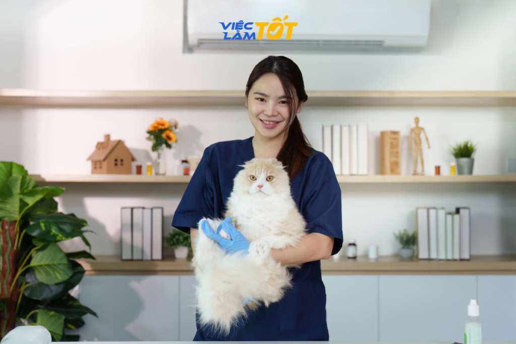Nhân viên Grooming đang cắt tỉa lông chuyên nghiệp