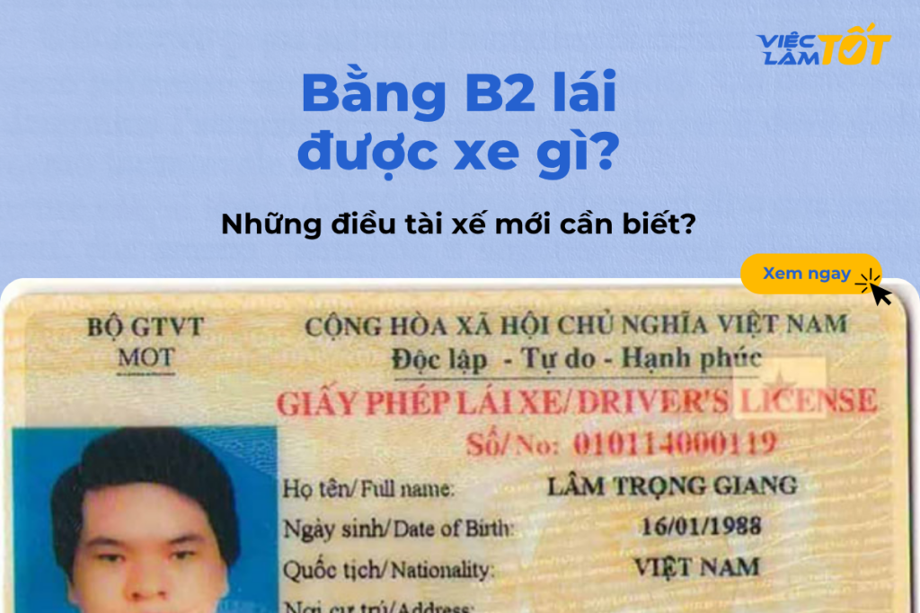 Bằng B2 lái được xe gì? Những điều tài xế mới cần biết ngay? Thumbnail bài viết về bằng lái xe hạng B2