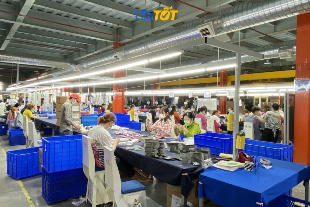 Kỹ sư phần mềm và R&D làm việc tại khu chế xuất Tân Thuận Quận 7