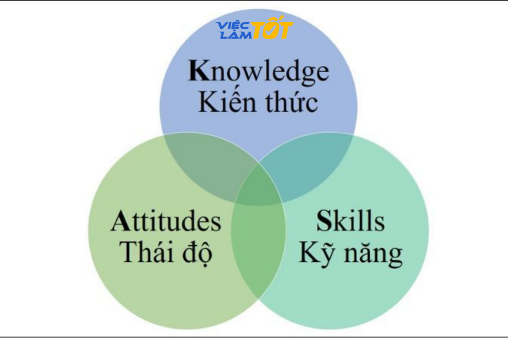 Nhà tuyển dụng đang phân tích hồ sơ ứng viên theo tiêu chí KSA