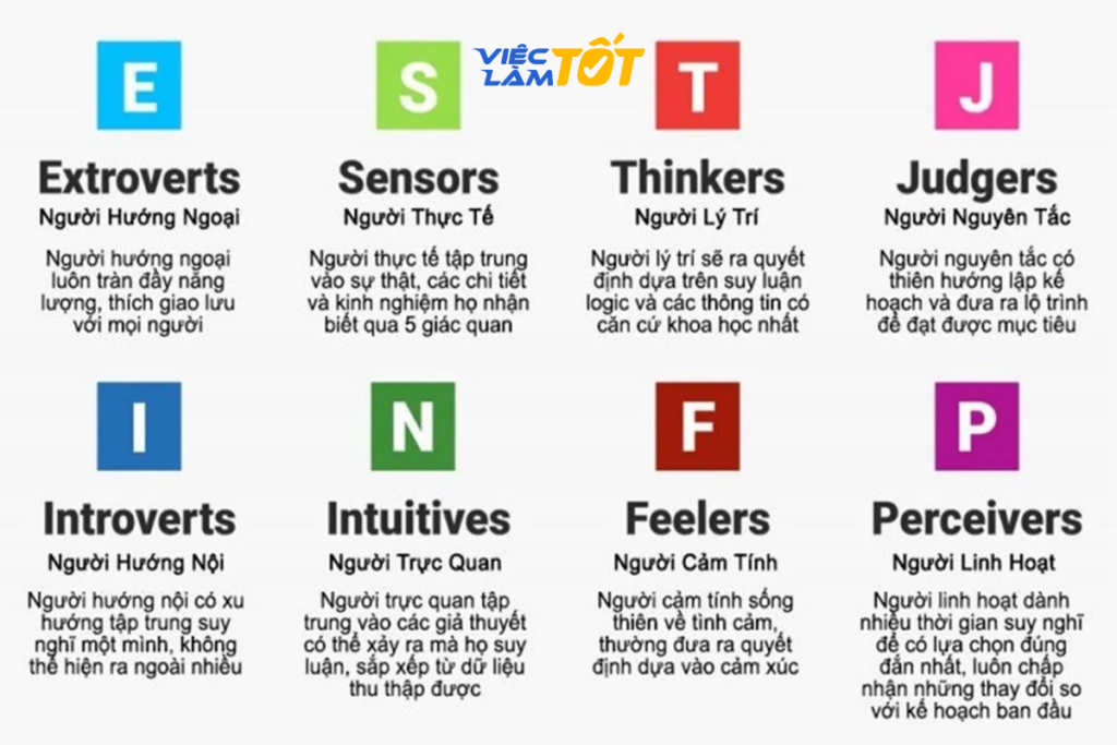 Nhân viên kế toán đang tập trung xử lý số liệu dựa trên tính cách MBTI