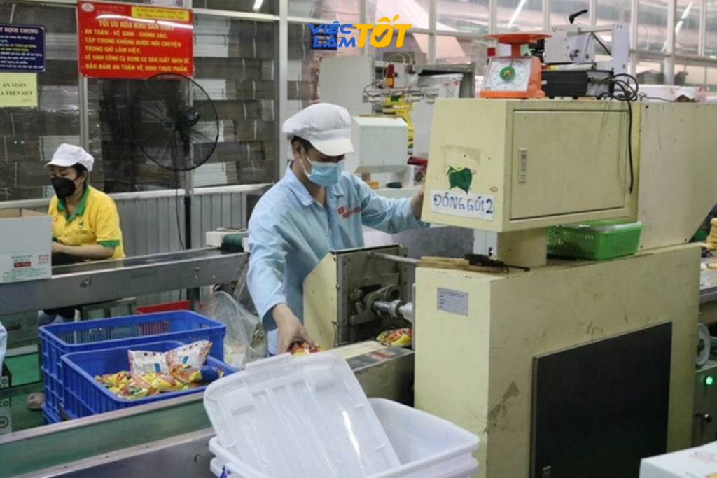 Mảng xanh thân thiện với môi trường tại khu chế xuất Tân Thuận Quận 7